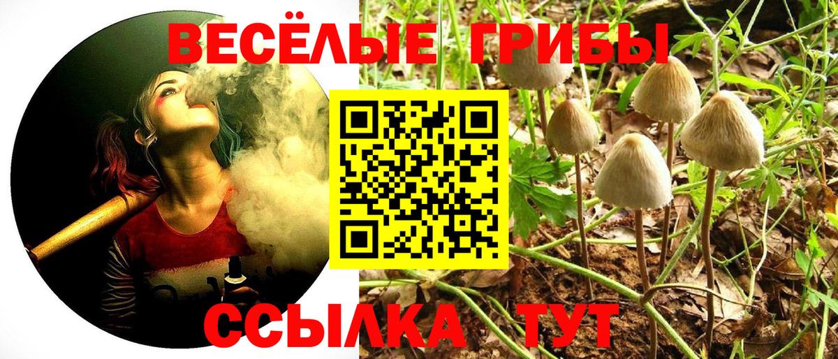 Стерлитамак  Галлюциногенные грибы Psilocybe  Вход с VPN 