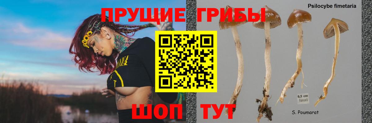 Псилоцибиновые грибы MAGIC MUSHROOMS Стерлитамак